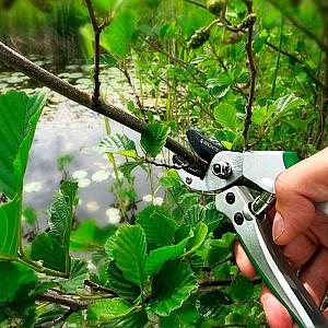 Foarfece de vie GRUNTEK Tukane 195mm