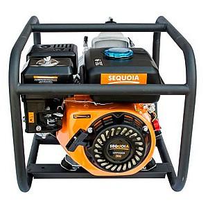 Pompă Sequoia SPP1100D