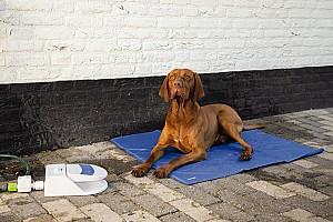 Adapator pentru animale Beeztees SPLASHY White