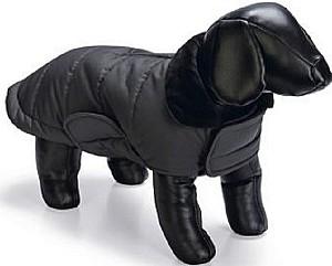  Beeztees ZHANTI Grey 40