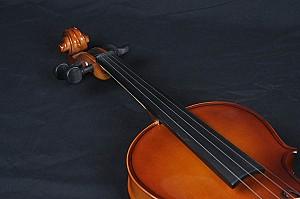 Vioara Hebikuo V03A 4/4
