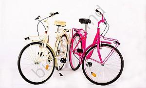 Bicicleta de oras Master Teh Andrei Tchmil VEGA 26