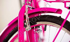 Bicicleta de oras Master Teh Andrei Tchmil VEGA 26