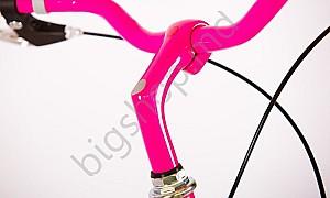 Bicicleta de oras Master Teh Andrei Tchmil VEGA 26