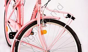 Bicicleta de oras Master Teh Andrei Tchmil VEGA 26