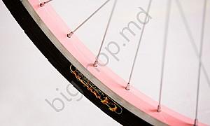 Bicicleta de oras Master Teh Andrei Tchmil VEGA 26