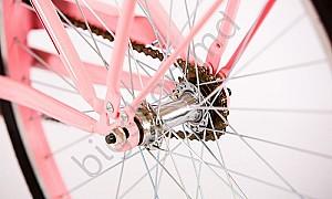 Bicicleta de oras Master Teh Andrei Tchmil VEGA 26