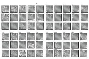 Dulap-cupe Confort-NV 190x60 cm (3 sablare / argint) Nimphea Alb