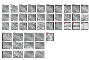 Dulap-cupe Confort-NV 190x60 cm (3 sablare / argint) Nimphea Alb