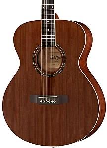 Chitara acustica Harley Benton Blues Guitar Set