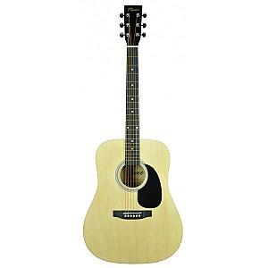 Chitara acustica Flame  FG 029-41 NT