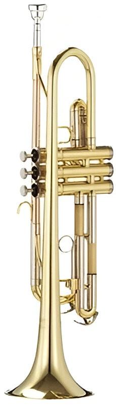 Trompeta Parrot 6416 L