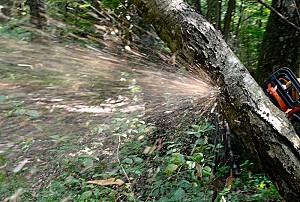 Drujba pe benzina DAEWOO DACS 4500