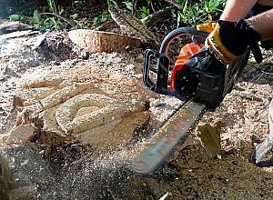 Drujba pe benzina DAEWOO DACS 5218XT