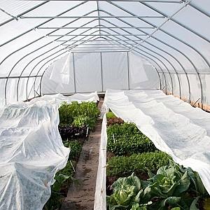 Peliculă pentru sere Agreen 17gr/m2 (3.2x50m) 160m2