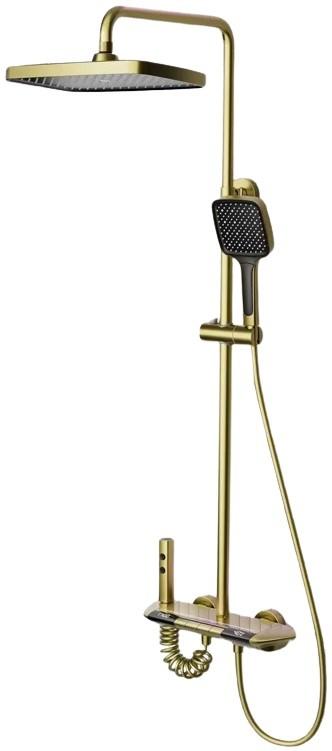 Set de duș ISink Gold (130598G)