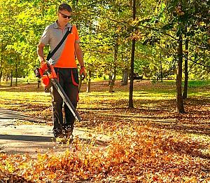 Aparat de suflat frunze electric DAEWOO DABL 9042Li SET