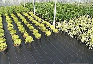 Peliculă pentru sere Greentech Agrotextil 90gsm (1x100m)