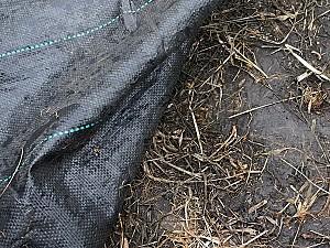 Peliculă pentru sere Bradas ATBK11008100 0,8 x 100 m