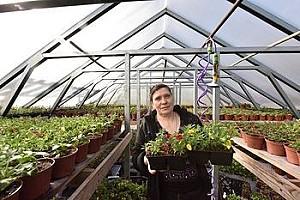 Peliculă pentru sere VM Peliculă verde anti UV 120mcr. H-8m, L-45m Turcia