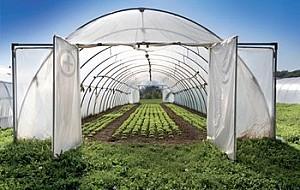 Peliculă pentru sere VM Peliculă verde UV+AB+LD 150mcr. H-12m, L-25m Turcia