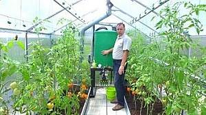 Peliculă pentru sere VM Peliculă verde UV+AB+LD 150mcr. H-12m, L-25m Turcia