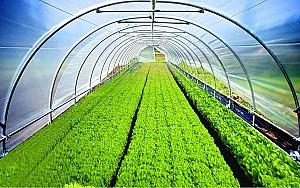 Peliculă pentru sere VM Peliculă verde UV+AB+LD 120mcr. H-12m, L-30m  Turcia