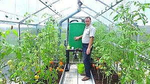 Peliculă pentru sere VM Peliculă verde UV+AB+LD 120mcr. H-12m, L-30m  Turcia