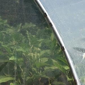 Seră de tip tunel Demetra 54 m2 12x4.5x2.5 m