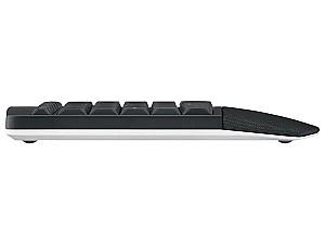 Set tastatura + Mouse Logitech Wireless MK850 Curved Black