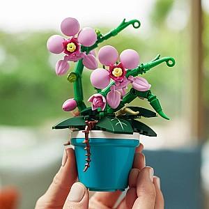 Constructor Zuru 83183GQ1