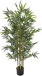 Flori artificiale OEM/ODM Bamboo 163cm
