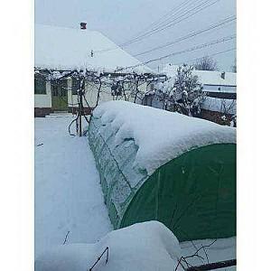 Seră de tip tunel Tehno Ms 6x3x2m