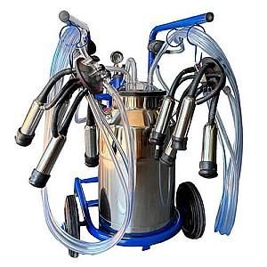 Aparat de muls vaci Tehno Ms 2 posturi, 1 bidon inox, 40LT