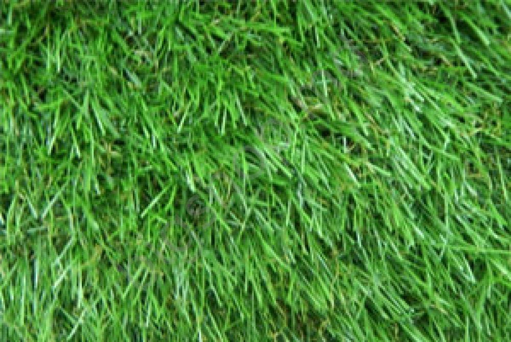 Iarba artificiala All Home Eco Bahar Grass Carpet 29mm