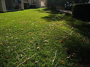 Iarba artificiala All Home Eco Bahar Grass Carpet 29mm