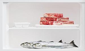 Frigider incorporabil BEKO BDSA250K4SN