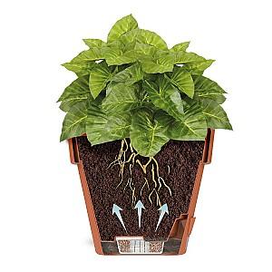  Santino Latina 14.5l