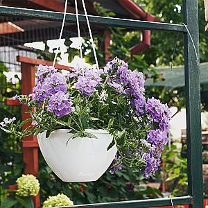  SANITEC SOLO cu agățătoare 6.5l