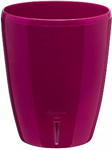  Santino Orchidea Twin 2l