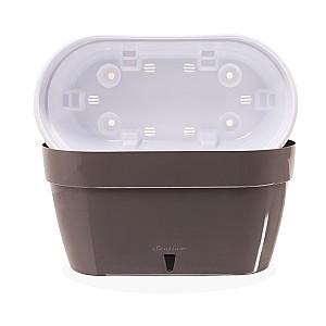  Santino ASTI Window Box 12l