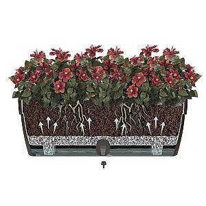 Santino ASTI Window Box 12l
