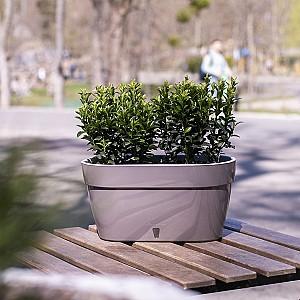  Santino ASTI Window Box 12l