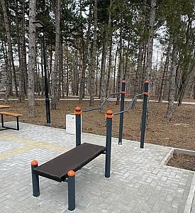 Aparat de fitness in aer liber PlayPark PD-02