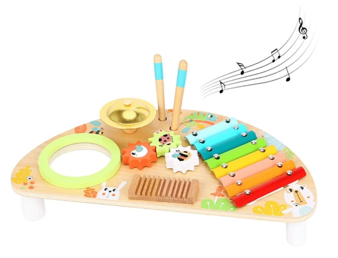 Jucarie muzicala Tooky Toy TKC354A