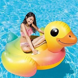 Accesoriu pentru inot Intex 57556