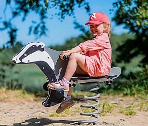 Balansor de exterior PlayPark Grey Bursuc ZP-28