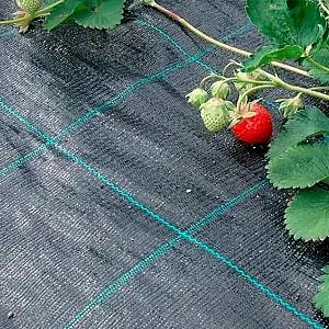 Peliculă pentru sere Profmet Agrotextil 100g/m2 1.6mx10m Black
