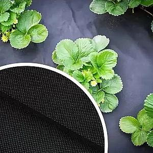 Peliculă pentru sere Profmet Agrotextil anti buruienilor 50g/m2 1.6mx100m Black