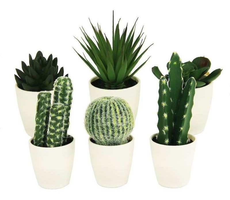 Flori artificiale NVT Aloe&Cactus 23cm